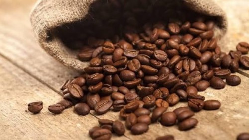 Roasted Coffee Beans