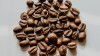 Robusta Coffee Beans